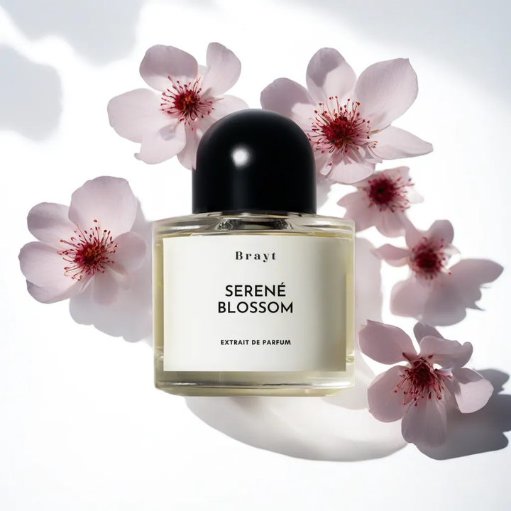 SERENÉ BLOSSOM Inspired by CHANEL COCO MADEMOISELLE - Brayt